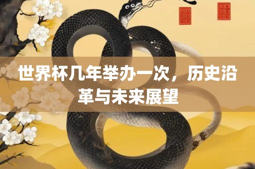 世界杯几年举办一次，历史沿革与未来展望