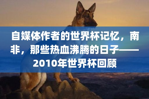 自媒体作者的世界杯记忆，南非，那些热血沸腾的日子——2010年世界杯回顾