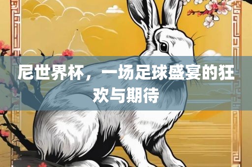 尼世界杯，一场足球盛宴的狂欢与期待