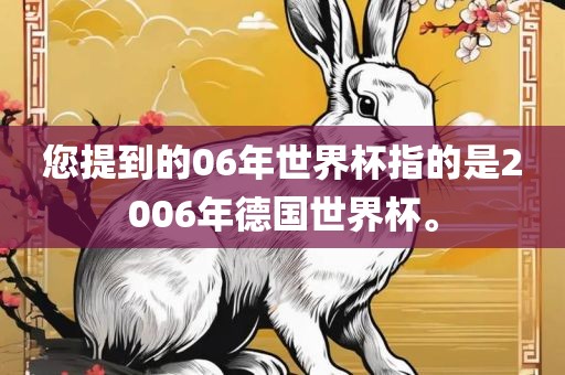 您提到的06年世界杯指的是2006年德国世界杯。