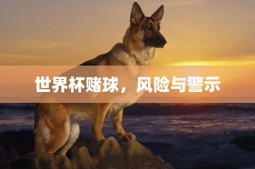 世界杯赌球，风险与警示