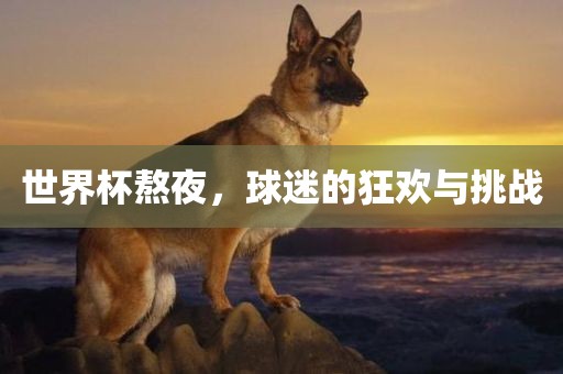 世界杯熬夜，球迷的狂欢与挑战