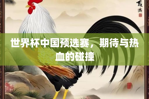 世界杯中国预选赛，期待与热血的碰撞