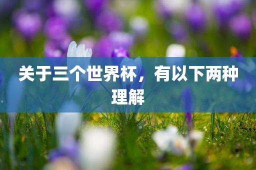 关于三个世界杯，有以下两种理解