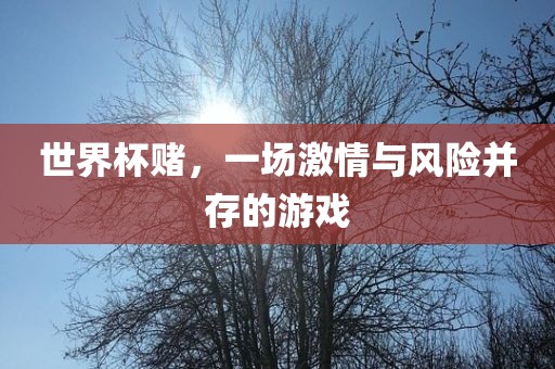世界杯赌，一场激情与风险并存的游戏
