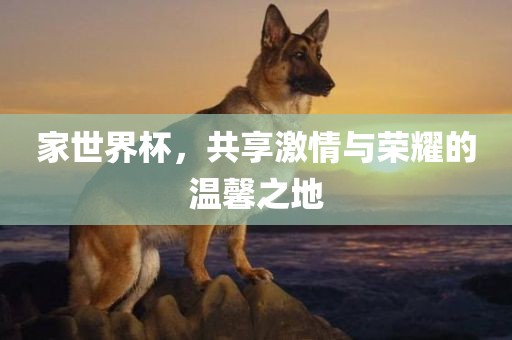 家世界杯，共享激情与荣耀的温馨之地