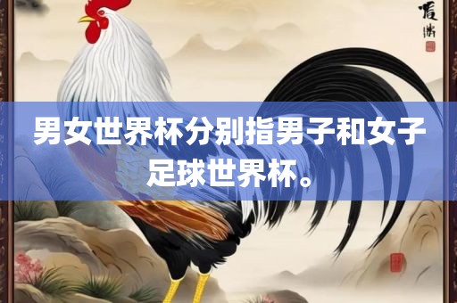 男女世界杯分别指男子和女子足球世界杯。