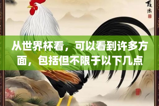 从世界杯看，可以看到许多方面，包括但不限于以下几点