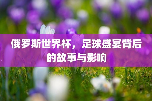 俄罗斯世界杯，足球盛宴背后的故事与影响