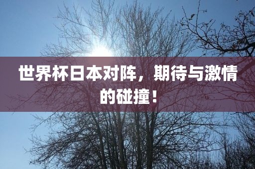 世界杯日本对阵，期待与激情的碰撞！