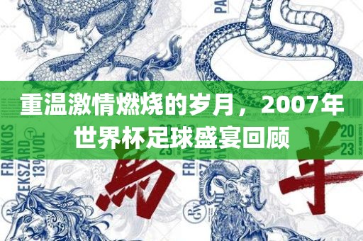 重温激情燃烧的岁月，2007年世界杯足球盛宴回顾