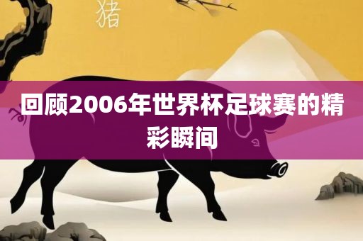 回顾2006年世界杯足球赛的精彩瞬间