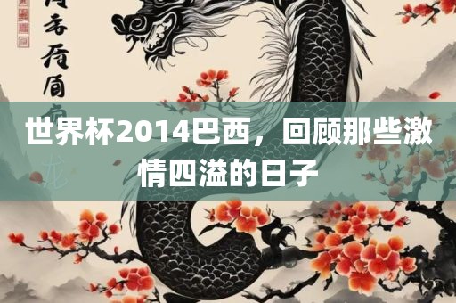 世界杯2014巴西，回顾那些激情四溢的日子