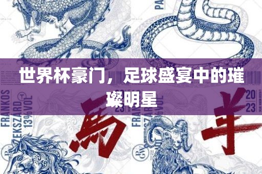 世界杯豪门，足球盛宴中的璀璨明星