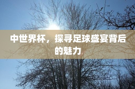 中世界杯，探寻足球盛宴背后的魅力