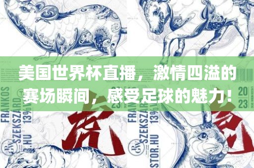 美国世界杯直播，激情四溢的赛场瞬间，感受足球的魅力！