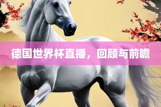 德国世界杯直播，回顾与前瞻