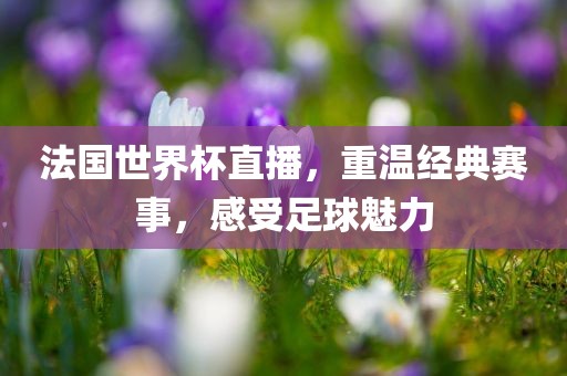 法国世界杯直播，重温经典赛事，感受足球魅力