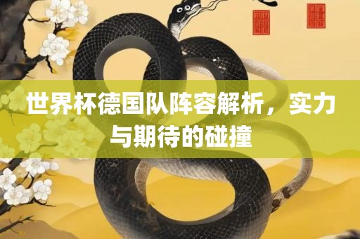 世界杯德国队阵容解析，实力与期待的碰撞