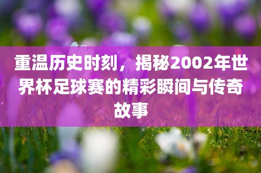 重温历史时刻，揭秘2002年世界杯足球赛的精彩瞬间与传奇故事