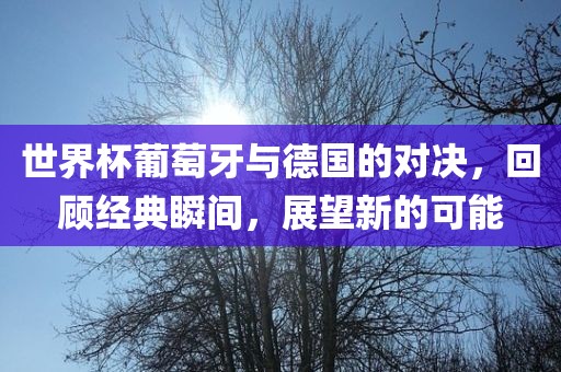 世界杯葡萄牙与德国的对决，回顾经典瞬间，展望新的可能