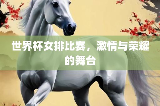 世界杯女排比赛，激情与荣耀的舞台