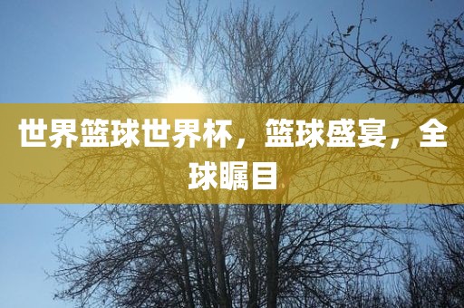 世界篮球世界杯，篮球盛宴，全球瞩目