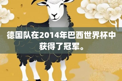 德国队在2014年巴西世界杯中获得了冠军。