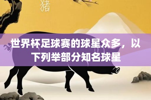 世界杯足球赛的球星众多，以下列举部分知名球星