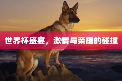 世界杯盛宴，激情与荣耀的碰撞