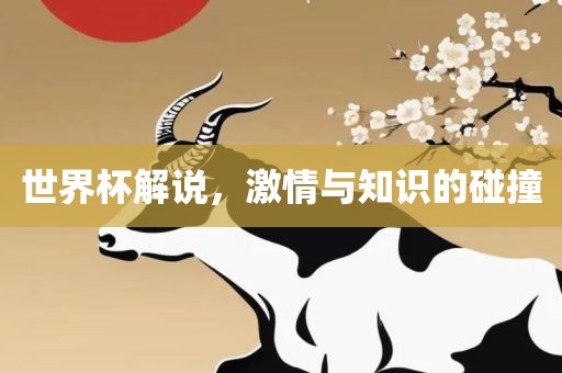 世界杯解说，激情与知识的碰撞