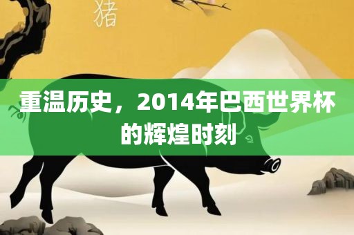 重温历史，2014年巴西世界杯的辉煌时刻
