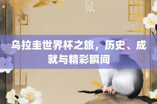 乌拉圭世界杯之旅，历史、成就与精彩瞬间