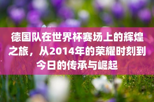 德国队在世界杯赛场上的辉煌之旅，从2014年的荣耀时刻到今日的传承与崛起