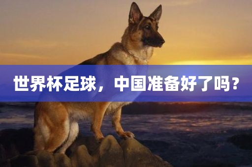 世界杯足球，中国准备好了吗？