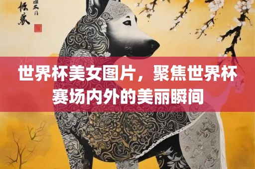 世界杯美女图片，聚焦世界杯赛场内外的美丽瞬间