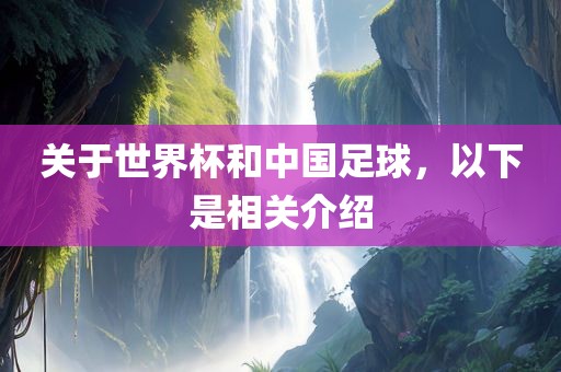 关于世界杯和中国足球，以下是相关介绍