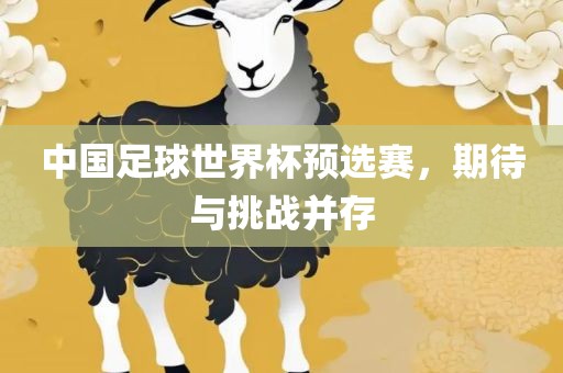 中国足球世界杯预选赛，期待与挑战并存