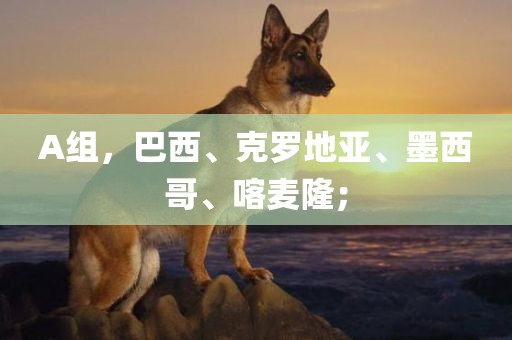 A组，巴西、克罗地亚、墨西哥、喀麦隆；