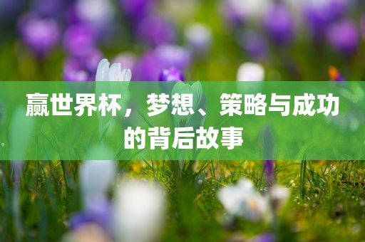 赢世界杯，梦想、策略与成功的背后故事