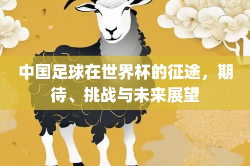 中国足球在世界杯的征途，期待、挑战与未来展望