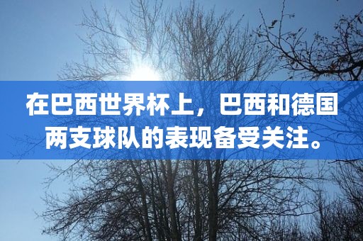 在巴西世界杯上，巴西和德国两支球队的表现备受关注。