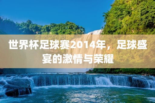 世界杯足球赛2014年，足球盛宴的激情与荣耀