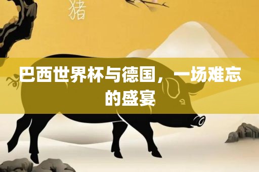 巴西世界杯与德国，一场难忘的盛宴