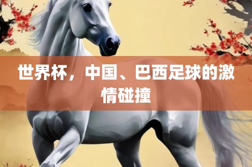 世界杯，中国、巴西足球的激情碰撞