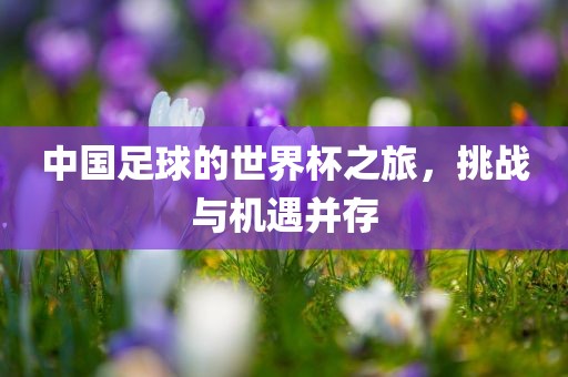 中国足球的世界杯之旅，挑战与机遇并存