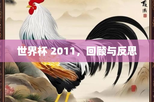 世界杯 2011，回顾与反思