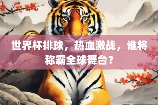 世界杯排球
