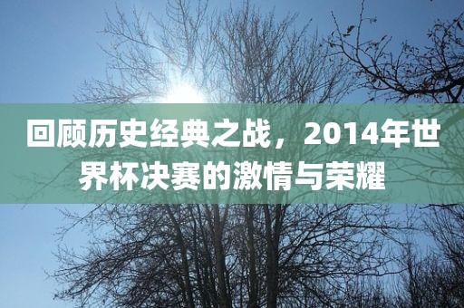 回顾历史经典之战，2014年世界杯决赛的激情与荣耀