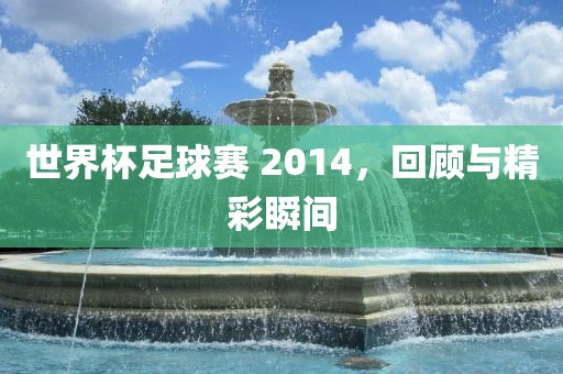 世界杯足球赛 2014，回顾与精彩瞬间